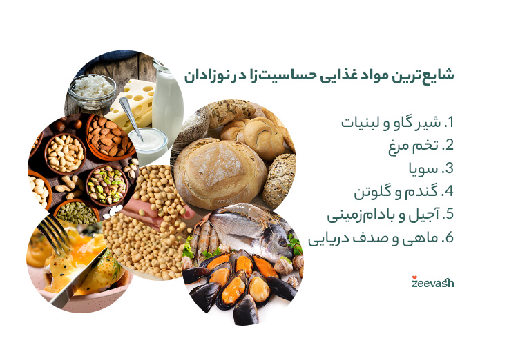 شایع‌ترین مواد غذایی حساسیت‌زا در نوزادان